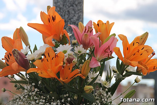 Cementerio. Da previo a la festividad de Todos los Santos 2018 - 156