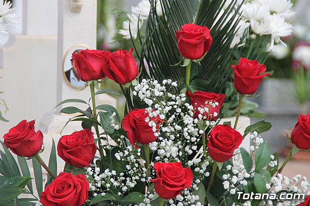 Cementerio. Da previo a la festividad de Todos los Santos 2018 - 158