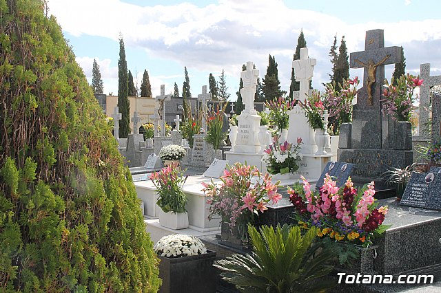 Cementerio. Da previo a la festividad de Todos los Santos 2018 - 287