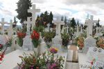 cementerio - 215 cementerio