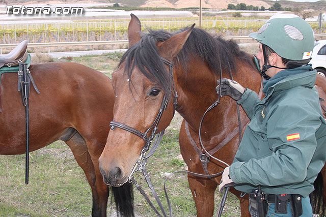 La Guardia Civil patrulla a caballo el campo de Totana para evitar robos - 9