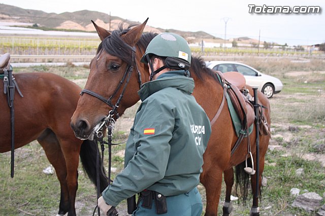 La Guardia Civil patrulla a caballo el campo de Totana para evitar robos - 11