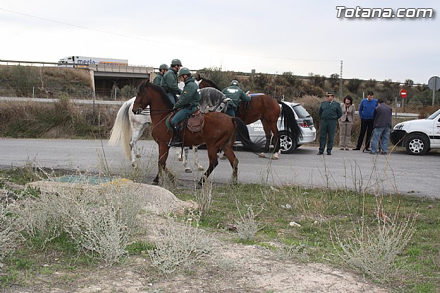La Guardia Civil patrulla a caballo el campo de Totana para evitar robos - 22