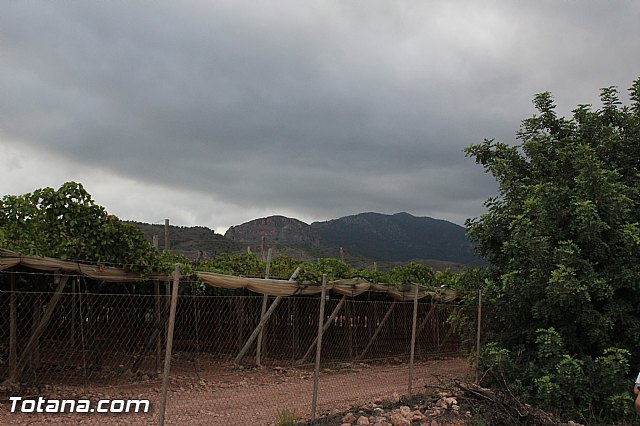 XV Charca Grande. Gran premio Panzamelba 2015 - 292