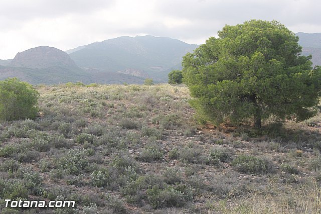 Carrera de Atletismo Charca Grande. Gran Premio Panzamelba 2013 - 2