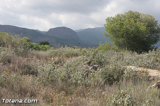 Carrera de Atletismo Charca Grande. Gran Premio Panzamelba 2013 - 3