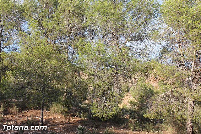 Carrera de Atletismo Charca Grande. Gran Premio Panzamelba 2013 - 290