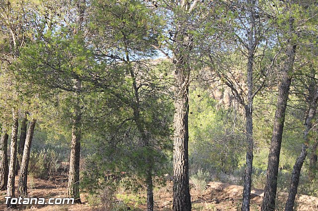 Carrera de Atletismo Charca Grande. Gran Premio Panzamelba 2013 - 291