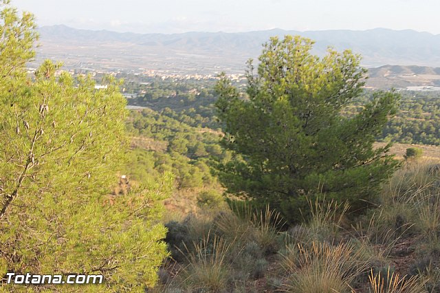 Carrera de Atletismo Charca Grande. Gran Premio Panzamelba 2013 - 298