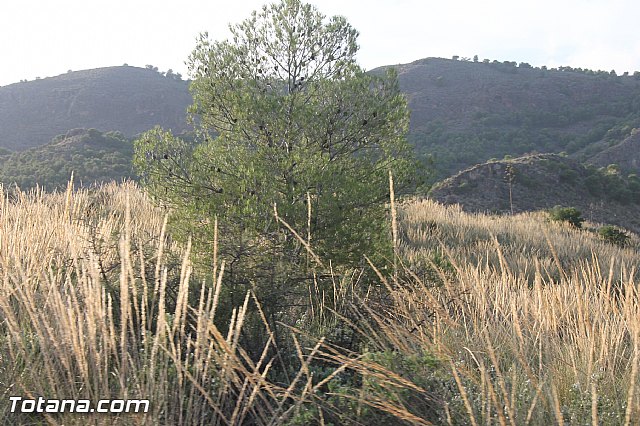 Carrera de Atletismo Charca Grande. Gran Premio Panzamelba 2013 - 311