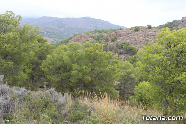 XIX Charca Grande-Gran Premio Panzamelba y VI Marcha a Pie 2019 - 1