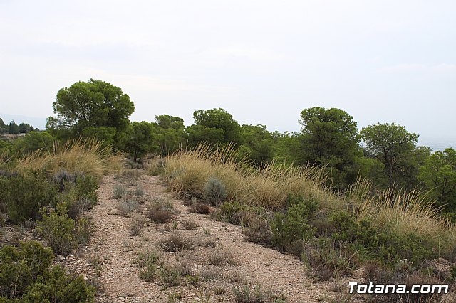 XIX Charca Grande-Gran Premio Panzamelba y VI Marcha a Pie 2019 - 2