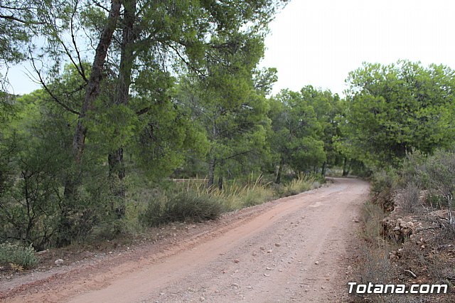 XIX Charca Grande-Gran Premio Panzamelba y VI Marcha a Pie 2019 - 4