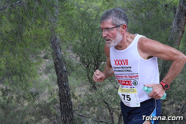 XIX Charca Grande-Gran Premio Panzamelba y VI Marcha a Pie 2019 - 266