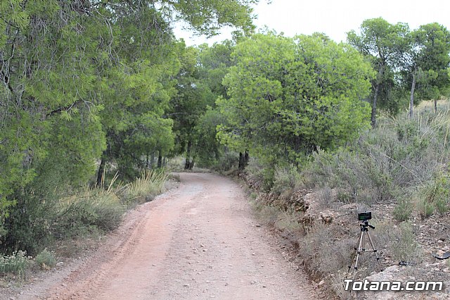 XIX Charca Grande-Gran Premio Panzamelba y VI Marcha a Pie 2019 - 414