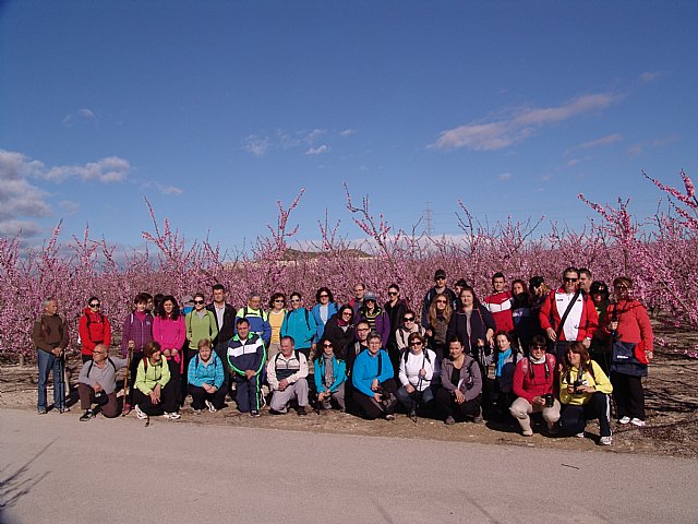 Senderistas de Totana disfrutaron del espectculo de la floracin de los frutales de Cieza - 1