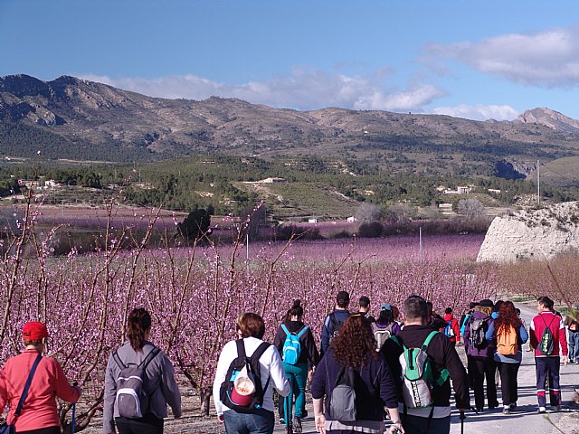 Senderistas de Totana disfrutaron del espectculo de la floracin de los frutales de Cieza - 2