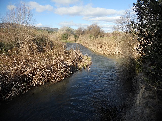 Senderistas de Totana disfrutaron del espectculo de la floracin de los frutales de Cieza - 25