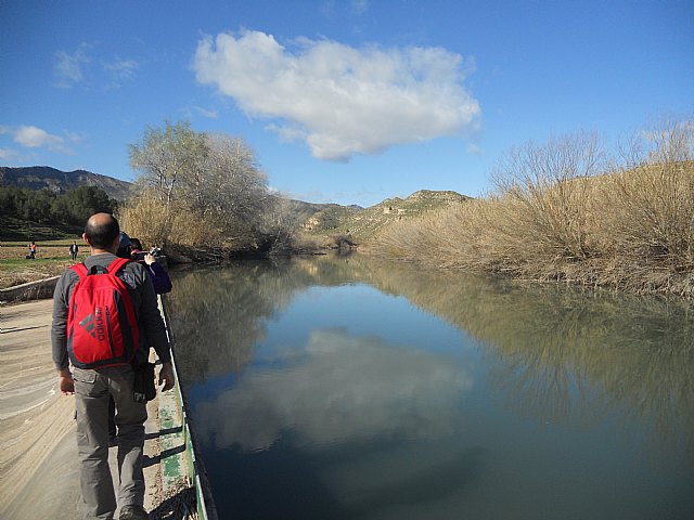 Senderistas de Totana disfrutaron del espectculo de la floracin de los frutales de Cieza - 34