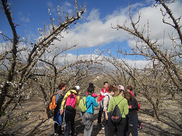 Senderistas de Totana disfrutaron del espectculo de la floracin de los frutales de Cieza - 40