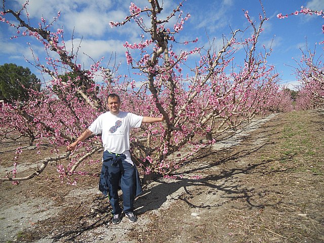 Senderistas de Totana disfrutaron del espectculo de la floracin de los frutales de Cieza - 48