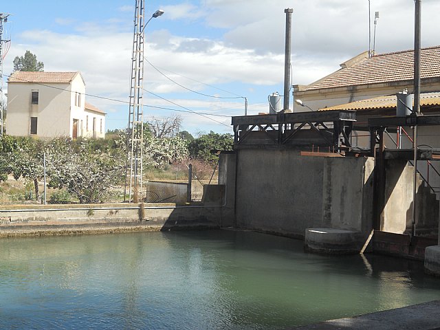 Senderistas de Totana disfrutaron del espectculo de la floracin de los frutales de Cieza - 51