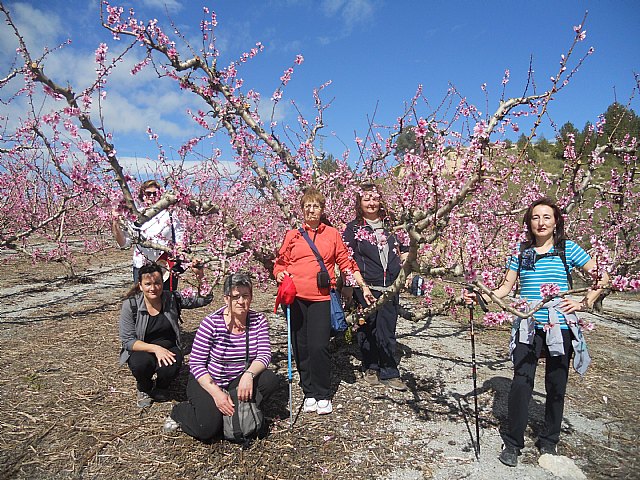 Senderistas de Totana disfrutaron del espectculo de la floracin de los frutales de Cieza - 53