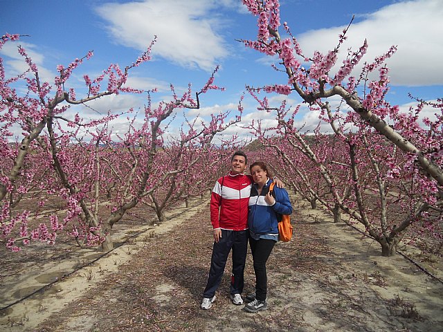 Senderistas de Totana disfrutaron del espectculo de la floracin de los frutales de Cieza - 62
