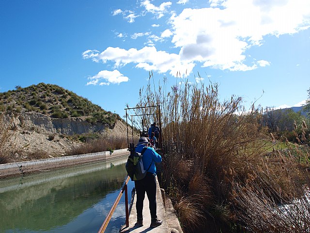 Senderistas de Totana disfrutaron del espectculo de la floracin de los frutales de Cieza - 64
