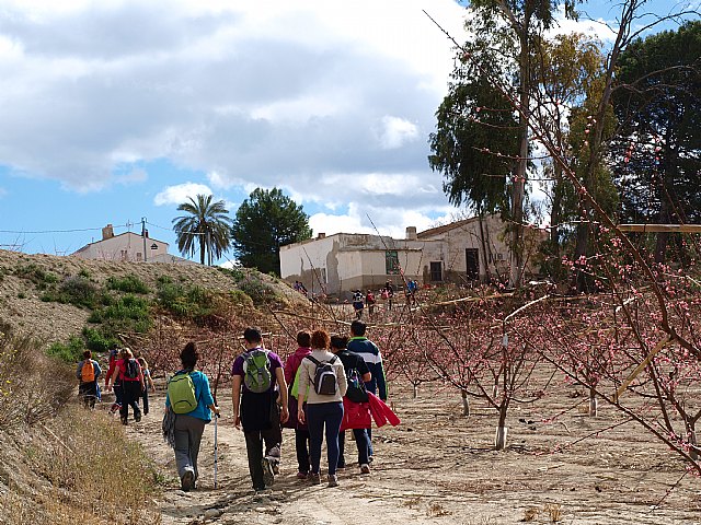 Senderistas de Totana disfrutaron del espectculo de la floracin de los frutales de Cieza - 67