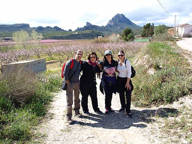 Senderistas de Totana disfrutaron del espectculo de la floracin de los frutales de Cieza - 71