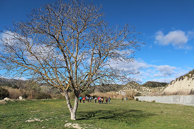 Senderistas de Totana disfrutaron del espectculo de la floracin de los frutales de Cieza - 73