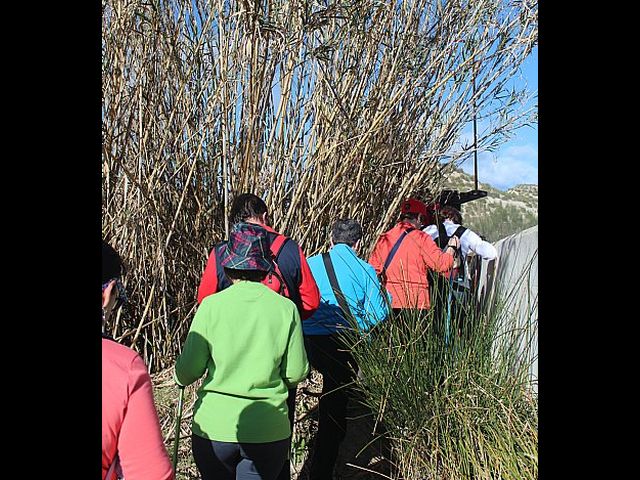 Senderistas de Totana disfrutaron del espectculo de la floracin de los frutales de Cieza - 74