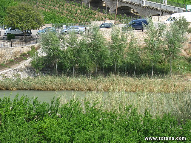 Viaje a Cieza de la Asociacin Hijas de Mara de la Medalla Milagrosa de Totana - 52