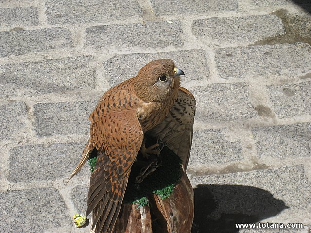 Viaje a Cieza de la Asociacin Hijas de Mara de la Medalla Milagrosa de Totana - 70