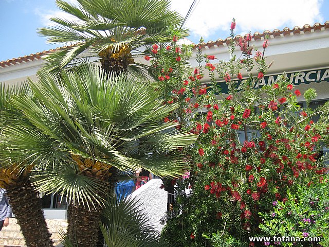 Viaje a Cieza de la Asociacin Hijas de Mara de la Medalla Milagrosa de Totana - 98