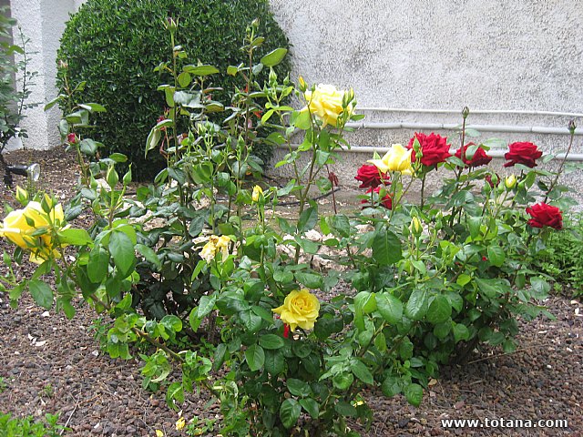Viaje a Cieza de la Asociacin Hijas de Mara de la Medalla Milagrosa de Totana - 113
