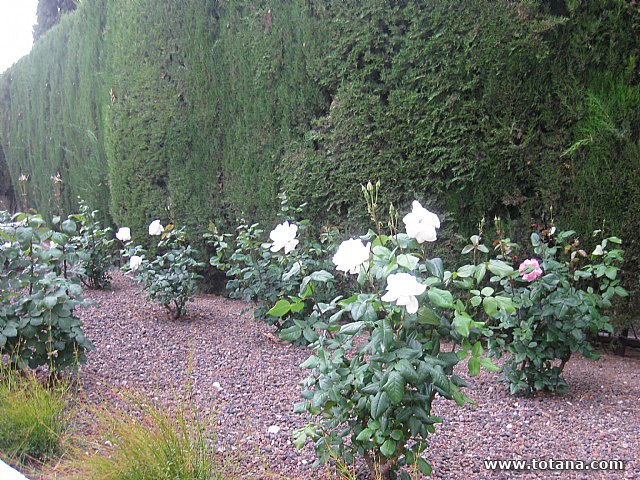 Viaje a Cieza de la Asociacin Hijas de Mara de la Medalla Milagrosa de Totana - 114