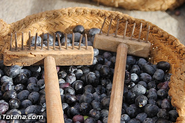 Concentracin de vehculos clsicos Totana 2016 - 307