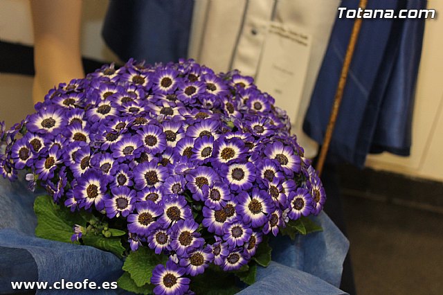 Exposicin. Hermandad de Santa Mara Cleof - 162