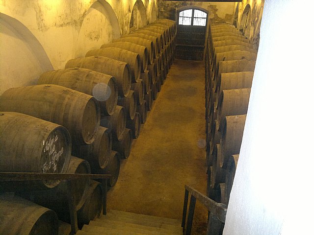 Viaje de la Hdad de Santa Mara Cleof a la Costa de Cdiz - 77