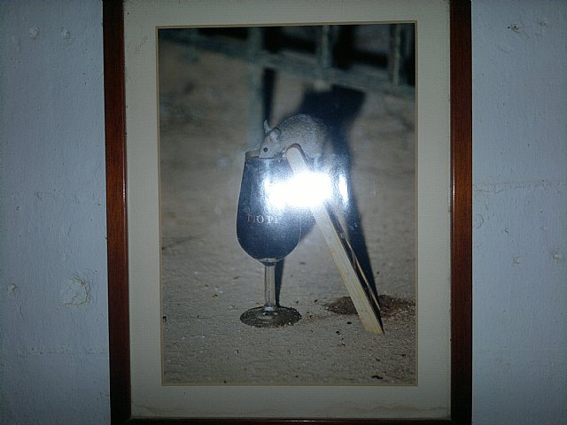 Viaje de la Hdad de Santa Mara Cleof a la Costa de Cdiz - 78