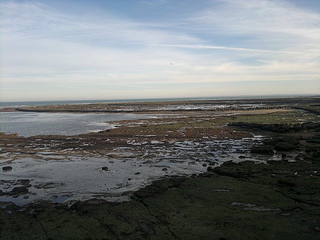 Viaje de la Hdad de Santa Mara Cleof a la Costa de Cdiz - 90