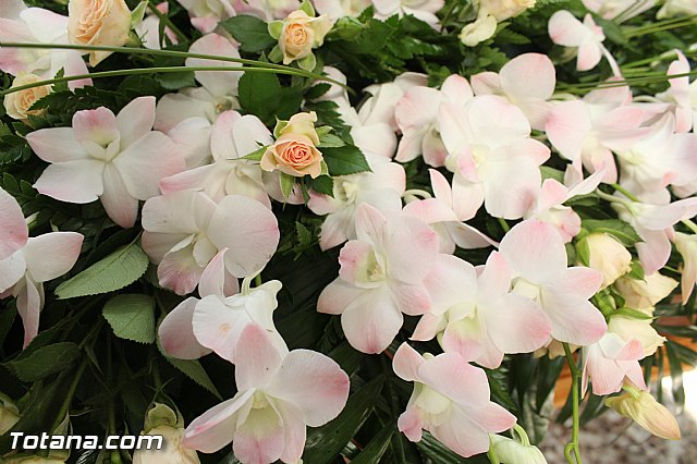 Procesin Santa Mara Cleof 2016 - 3