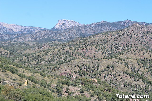 Jornada de convivencia Hermandades y Cofradas. Sbado 27 de abril de 2019 - 38