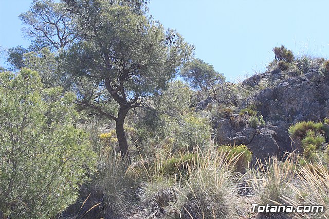 Jornada de convivencia Hermandades y Cofradas. Sbado 27 de abril de 2019 - 39