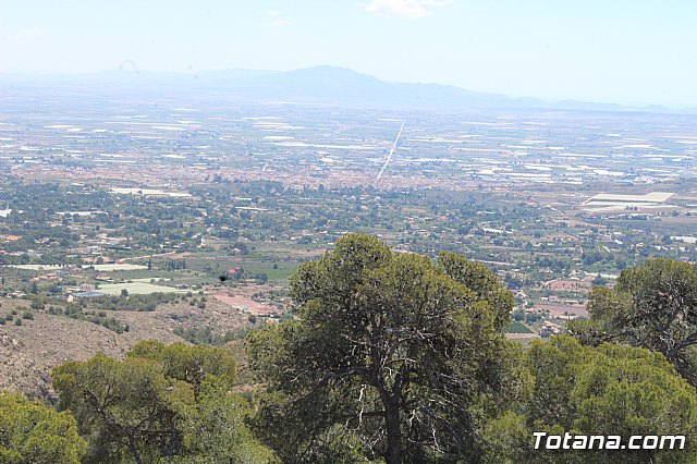 Jornada de convivencia Hermandades y Cofradas. Sbado 27 de abril de 2019 - 48