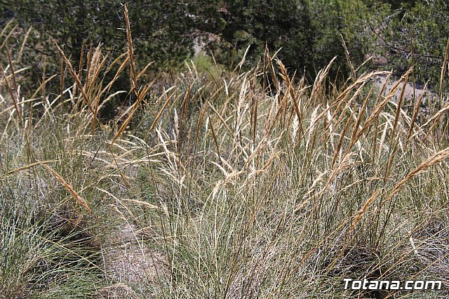 Jornada de convivencia Hermandades y Cofradas. Sbado 27 de abril de 2019 - 53