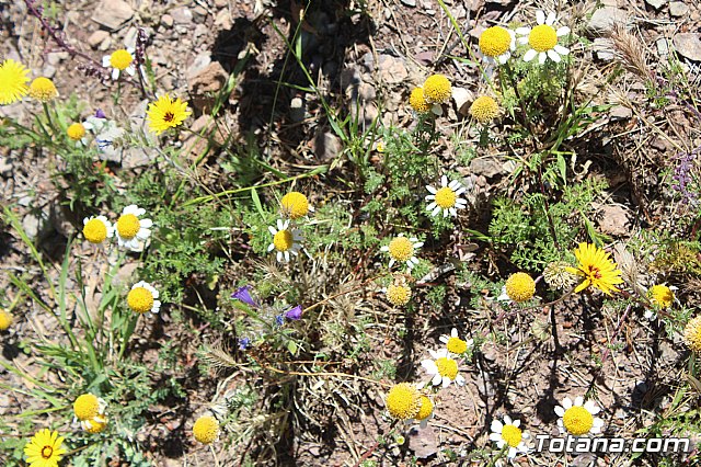 Jornada de convivencia Hermandades y Cofradas. Sbado 27 de abril de 2019 - 58