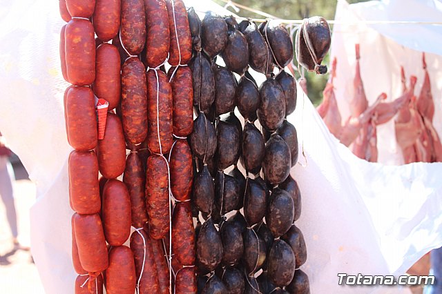 Jornada de convivencia Hermandades y Cofradas. Sbado 27 de abril de 2019 - 74